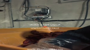 آسیاب گوجه خشک با دستگاه آسیاب صنعتی پارویی اسوه صنعت