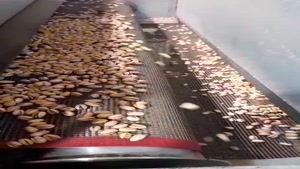 خط کامل تفت و زعفرانی کردن پسته با تفت زن و طعم دهنده نواری 