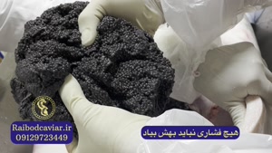 فرآوری خاویار