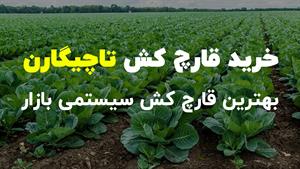 خرید آنلاین قارچ‌کش تاچیگارن (Tachigaren) - هایمکسازول