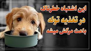 مستند حیوانات _ تنغذیه اشتباه به توله سگ