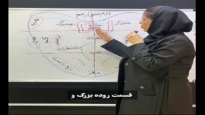 نقاط و رنگ زبان