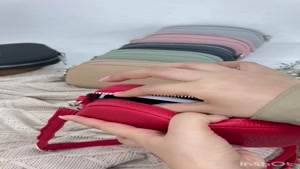 کیف پاسپورتی