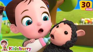 کارتون بری _ آهنگ مری یک بره کوچولو داشت