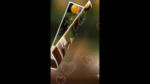 کلیپ تولد دخترم / استوری تولد / کلیپ شاد تولد