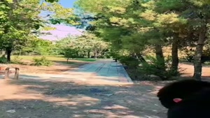 طنز خنده دار ساسان و فاطی / سارینا کیه من فاطیمام