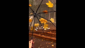 کلیپ عاشقانه / استوری عاشقانه اینستا