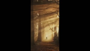 کلیپ غمگین دلتنگی برای استوری / من چقدر دلم تنگِ برات