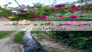 کلیپ تبریک تولد آبان ماهی های عزیز