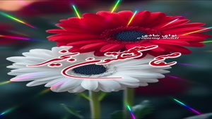 کلیپ سلام صبح بخیر / استوری صبح بخیر برای واتساپ