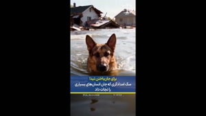 درگذشت تیدا / پایان شجاعت یک امدادگر وفادار