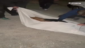 پایان مأموریت تیدا / سگ امدادگر فداکار درگذشت