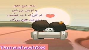 کلیپ صبح بخیر عاشقانه