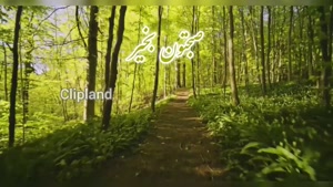 کلیپ سلام صبح بخیر زیبا و جذاب