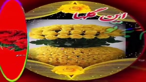 کلیپ احساسی برای عشقم / دلم به بودنت خوشه