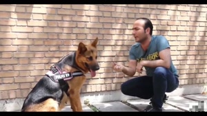 هوش تیدا حسن ریوندی را حیرت‌زده کرد