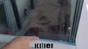 یه ویترین ساده نیست… اینجا هنرِ فروش می‌درخشه!