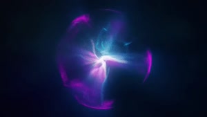 دکتر افشین رشید _ اُستاد دانشگاه