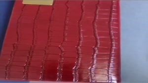 سفارش سالنامه 1405-مدل بوریا از جهان ایده