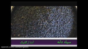 خواص روغن سیاه دانه؛ تقویت سلامت بدن، ضدالتهاب و مقاومتی طبی