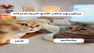 کلیپ روز مادر 