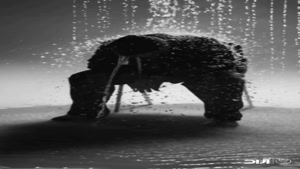 حامیم به نام تقصیر توئه