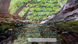 صبحت بخیر عمرم/ صبح بخیر عاشقانه