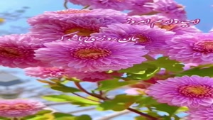 درود روزت پر از اتفاقای قشنگ