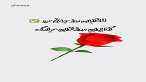 استوری تبریک روز مرد/کلیپ روز مرد مبارک