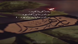 کلیپ شهادت حضرت فاطمه برای استوری/کلیپ شهادت حضرت زهرا