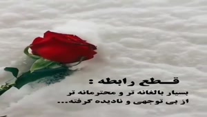 قطع رابطه بهتر از بی توجهی هست/دانلود کلیپ غمگین