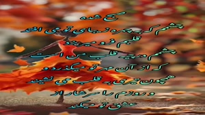 صبح بخیر گل نیلوفر من