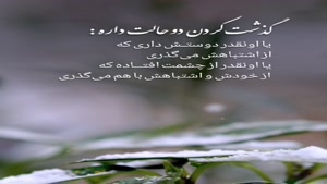 گذشت کردن 2 حالت داره/کلیپ غمگین خفن