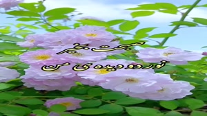 سلام صبحت بخیر نور دیده من/ صبح بخیر عاشقانه