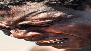 دانلود آهنگ جدید کاکوبند به نام دوباره همراه تیزر 