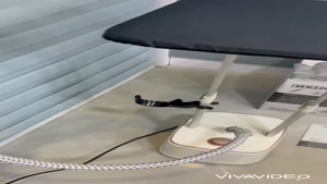 اتو بخار ایستاده هنریچ 