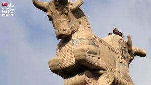 شاهین نجفی بدجوری فلکه رو گرفت رو مهران غفوریان