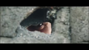 شغال قسمت ۱۶ / فیلم شغال ایرانی قسمت شانزدهم