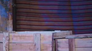 کارناوال قسمت دوم / مسابقه کارناوال رامبد جوان