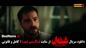 شغال / محکوم / هزار و یک شب / بامداد خمار