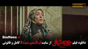 سینمایی فیلم جوجه تیغی