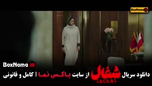 سریال شغال / محکوم / هزار و یک شب / بامداد خمار