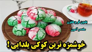 طرز تهیه کوکی یلدایی