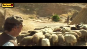 سریال نمایش خانگی ایرانی سووشون نرگس آبیار