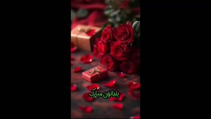 استوری یلدایی برای وضعیت و استوری / کلیپ تبریک شب یلدا