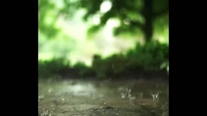 کلیپ استوری بارون / کلیپ زیبای بارون / کلیپ بارون