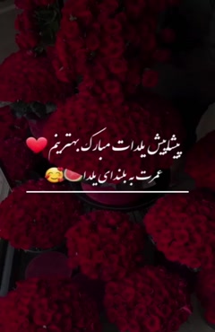 کلیپ تبریک شب یلدا / استوری عشقم یلدات مبارک