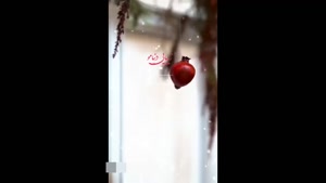 کلیپ استوری تبریک یلدا به عروس / یلدات مبارک