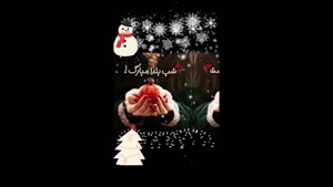 استوری یلدایی برای اینستا / کلیپ جشن شب یلدا