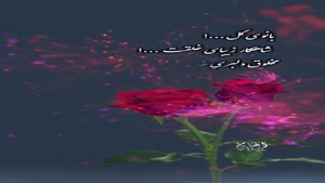 کلیپ تبریک روز زن برای استوری / استوری روز زن